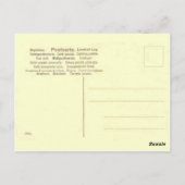 Flugzeug (Postcard Edition) Postkarte (Rückseite)