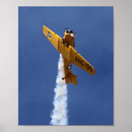 Flugzeug Poster