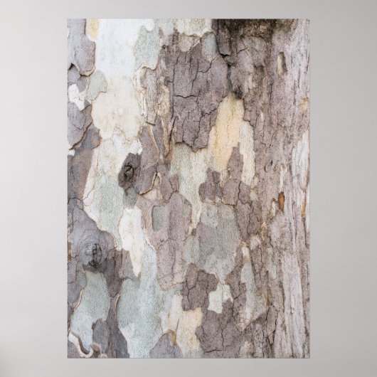 Flugzeug Poster (Vorne)