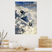 FLUGZEUG POSTER (Küche)