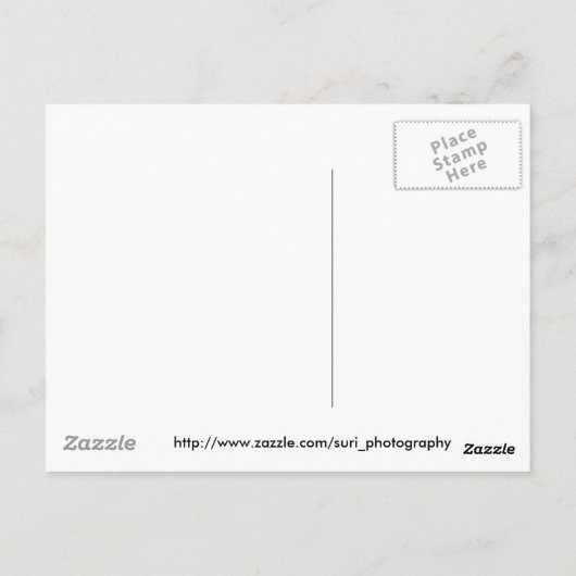 Flugzeug Postkarte (Rückseite)