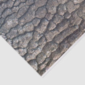 Flugzeug Seidenpapier (Ausschnitt)