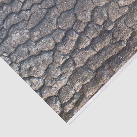 Flugzeug Seidenpapier (Ausschnitt)