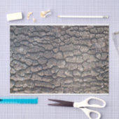 Flugzeug Seidenpapier (Handwerk)