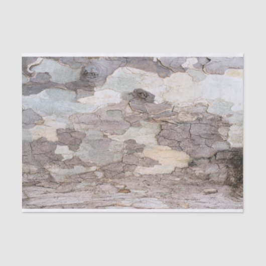 Flugzeug Seidenpapier (Vorderseite)