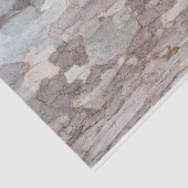 Flugzeug Seidenpapier (Ausschnitt)