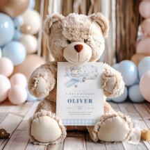 Flugzeug und Teddy Bear Geburtstag