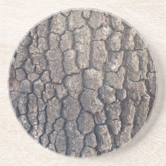 Flugzeug Untersetzer (Vorne)