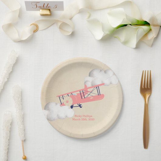 Flugzeugpapiertafel, Vintage Airplane Babydusche Pappteller (Hochzeit)