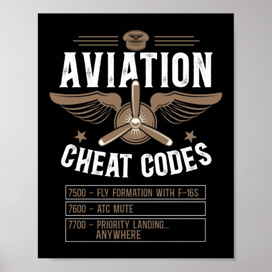 Flugzeugpilot Luftfahrzeug Luftfahrt Cheatcoden 75 Poster (Vorne)