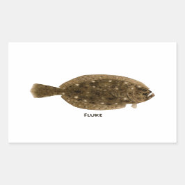 Fluke Rechteckiger Aufkleber