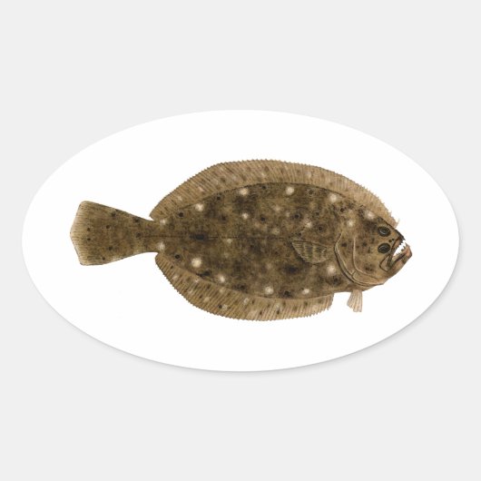 Fluke - Sommerflunder Ovaler Aufkleber (Vorderseite)