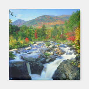 Flume Falls    Adirondack Mountains Magnet