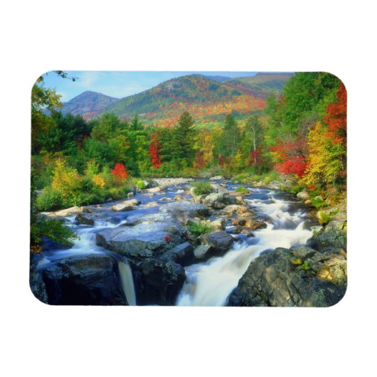 Flume Falls | Adirondack Mountains Magnet (Horizontal)