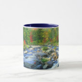Flume Falls |  Adirondack Mountains Tasse (Zentrum)