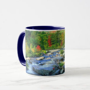 Flume Falls    Adirondack Mountains Tasse
