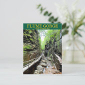 Flume Gorge NH Postcard Postkarte (Stehend Vorderseite)
