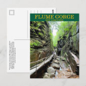 Flume Gorge NH Postcard Postkarte (Vorne/Hinten)