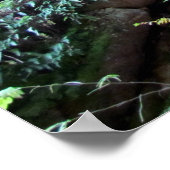 Flume Gorge Poster (Ecke)