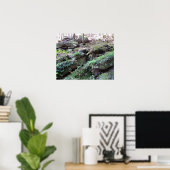 Flume Gorge Poster (Heimbüro)