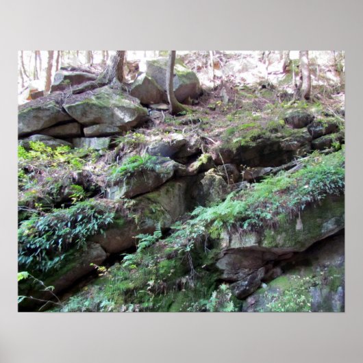 Flume Gorge Poster (Vorne)
