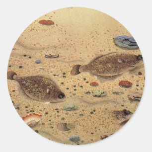 Flundern oder Plattfische, Vintage Meeresleben Oze Runder Aufkleber
