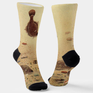 Flundern oder Plattfische, Vintage Meeresleben Socken