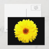 Fluorescent Marigold Postcard Postkarte (Vorne/Hinten)