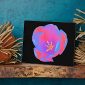 Fluorescent Tulip Plaque Fotoplatte (Seite)