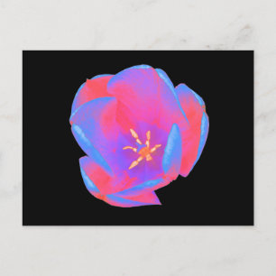 Fluorescent Tulip Postcard Postkarte