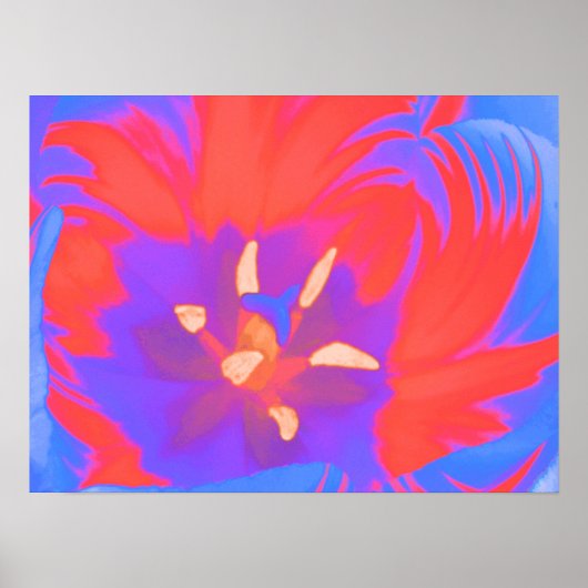 Fluorescent Tulip Poster (Vorne)