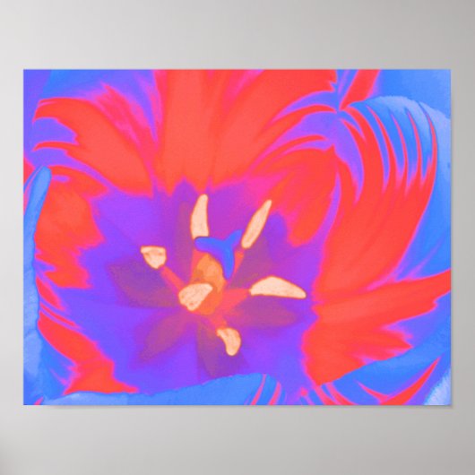 Fluorescent Tulip Poster (Vorne)