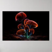 Fluoreszenz (2009) poster (Vorne)