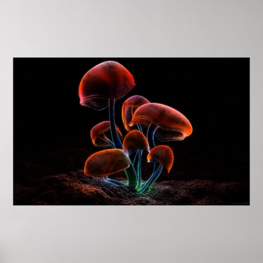 Fluoreszenz (2009) poster (Vorne)