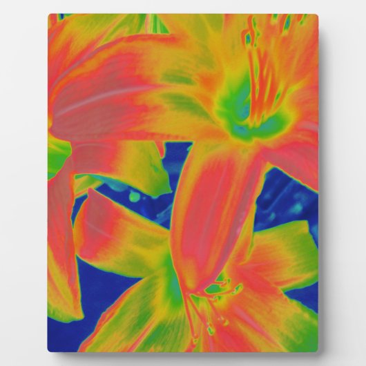 fluoreszierende Blume Fotoplatte (Vorderseite)
