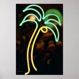 Fluoreszierende Palme in Seafair, Dania, Florida, Poster