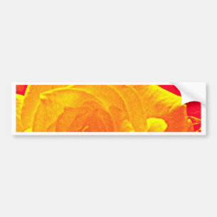 fluoreszierende Rose orange Autoaufkleber