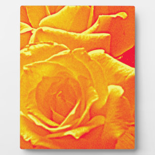 fluoreszierende Rose orange Fotoplatte