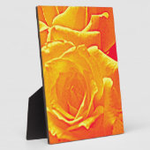fluoreszierende Rose orange Fotoplatte (Seite)
