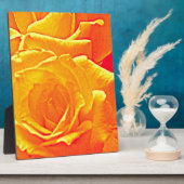 fluoreszierende Rose orange Fotoplatte (Seite)