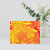 fluoreszierende Rose orange Postkarte (Stehend Vorderseite)