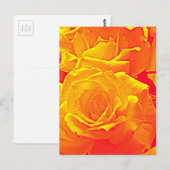 fluoreszierende Rose orange Postkarte (Vorne/Hinten)