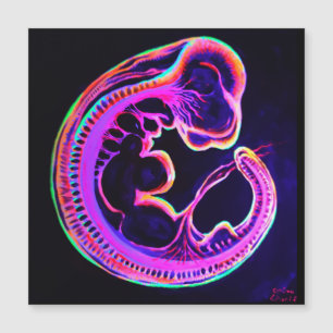 Fluoreszierendes Embryo, das in der Dunkelheit leu Magnetkarte