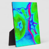 fluoreszierendes Fruchtgrün Fotoplatte (Seite)