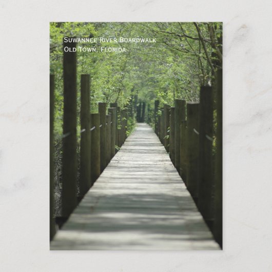 Fluss Boardwalk Postkarte (Vorderseite)