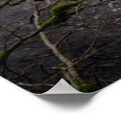 Fluss Bran - Dunkeld Einsiedelei Poster (Ecke)