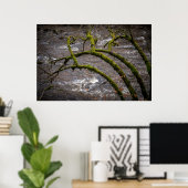 Fluss Bran - Dunkeld Einsiedelei Poster (Heimbüro)