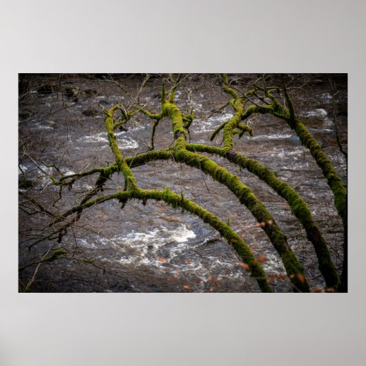 Fluss Bran - Dunkeld Einsiedelei Poster (Vorne)