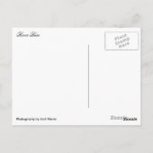 Fluss Bure Wroxham bis Coltishall Postkarte (Rückseite)