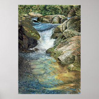 Fluss Chattooga Poster
